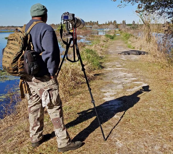 Nature abounds! Ledger reporter Gary White recently took a nature walk through Circle B Bar Reserve in Lakeland. Luckily for us, he brought his camera. (Gary White/The Ledger)